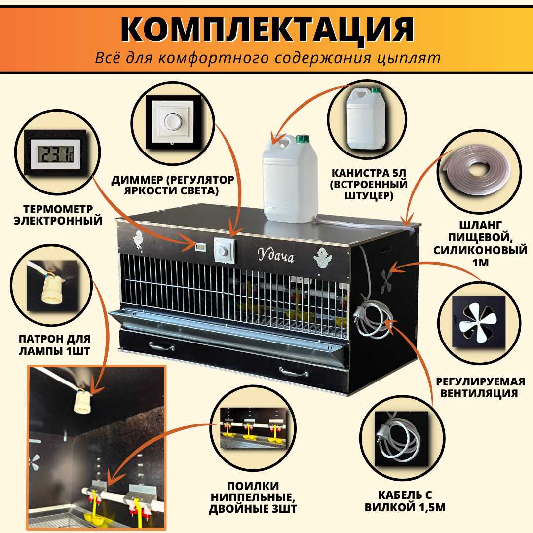 Как выбрать подходящий брудер для вашего хозяйства?