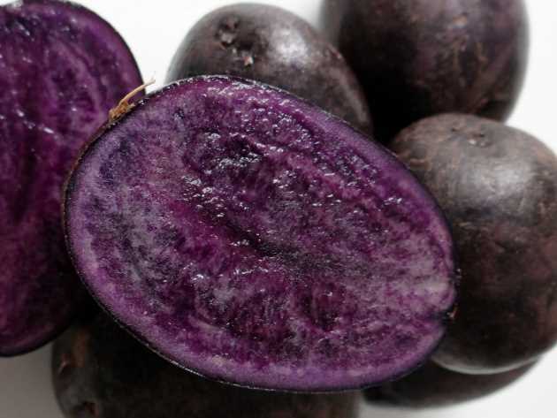 История и происхождение фиолетового арбуза