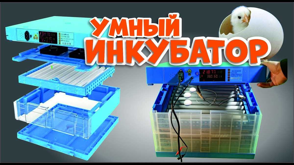 История и развитие