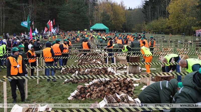 Выбор и подготовка древесины