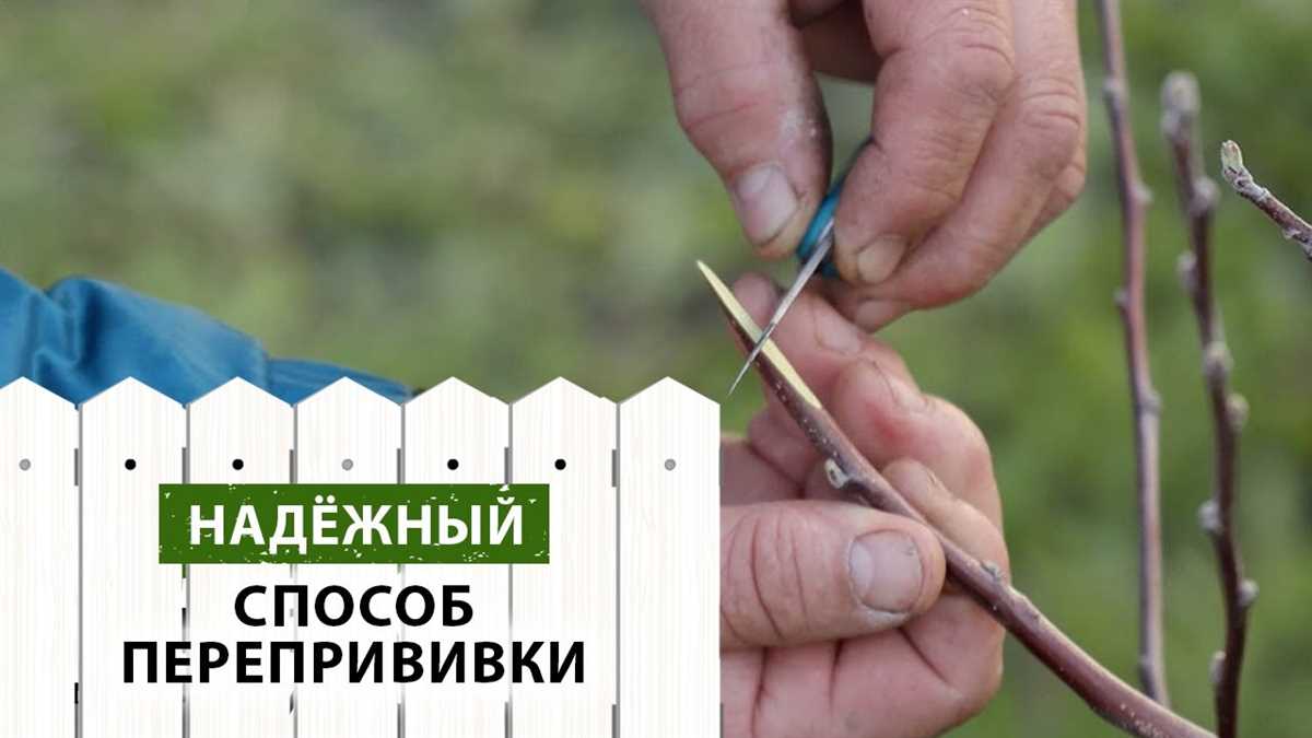 Факторы, влияющие на готовность к копулировке