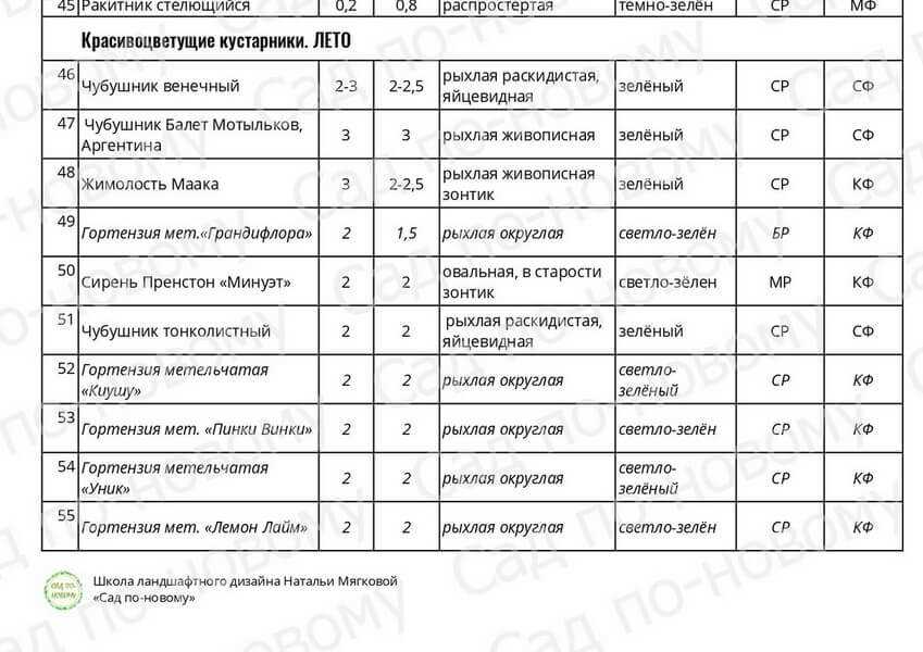 1. Как правильно поливать кустарники?