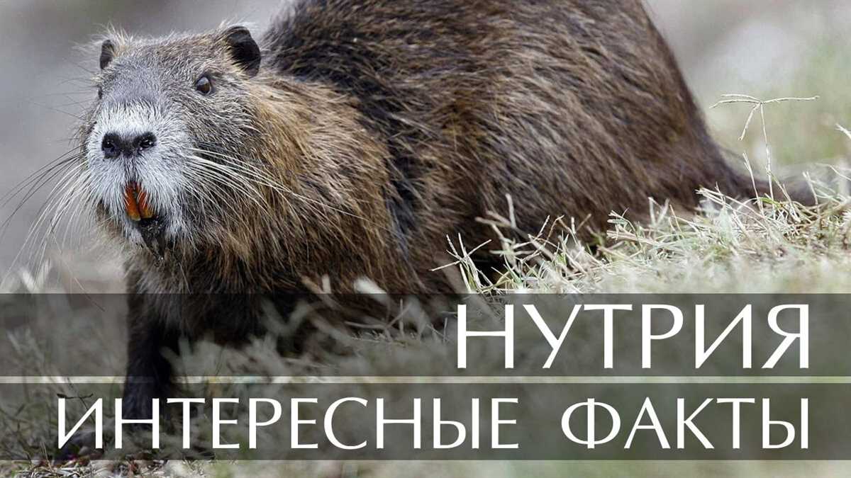 2. Влияние на водную среду