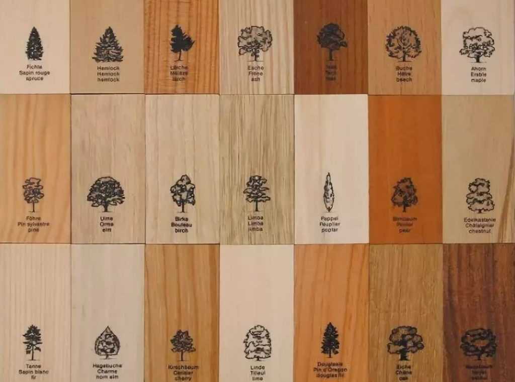 Сковородные породы древесины для строительства