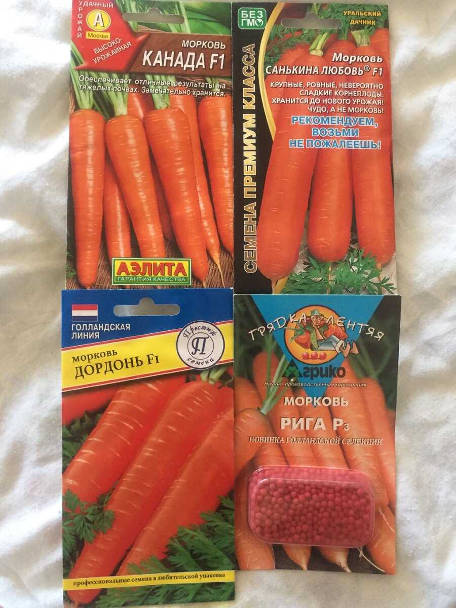 Сорта семян моркови