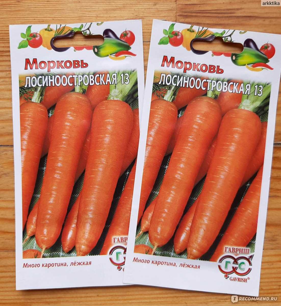 Польза семян моркови для здоровья