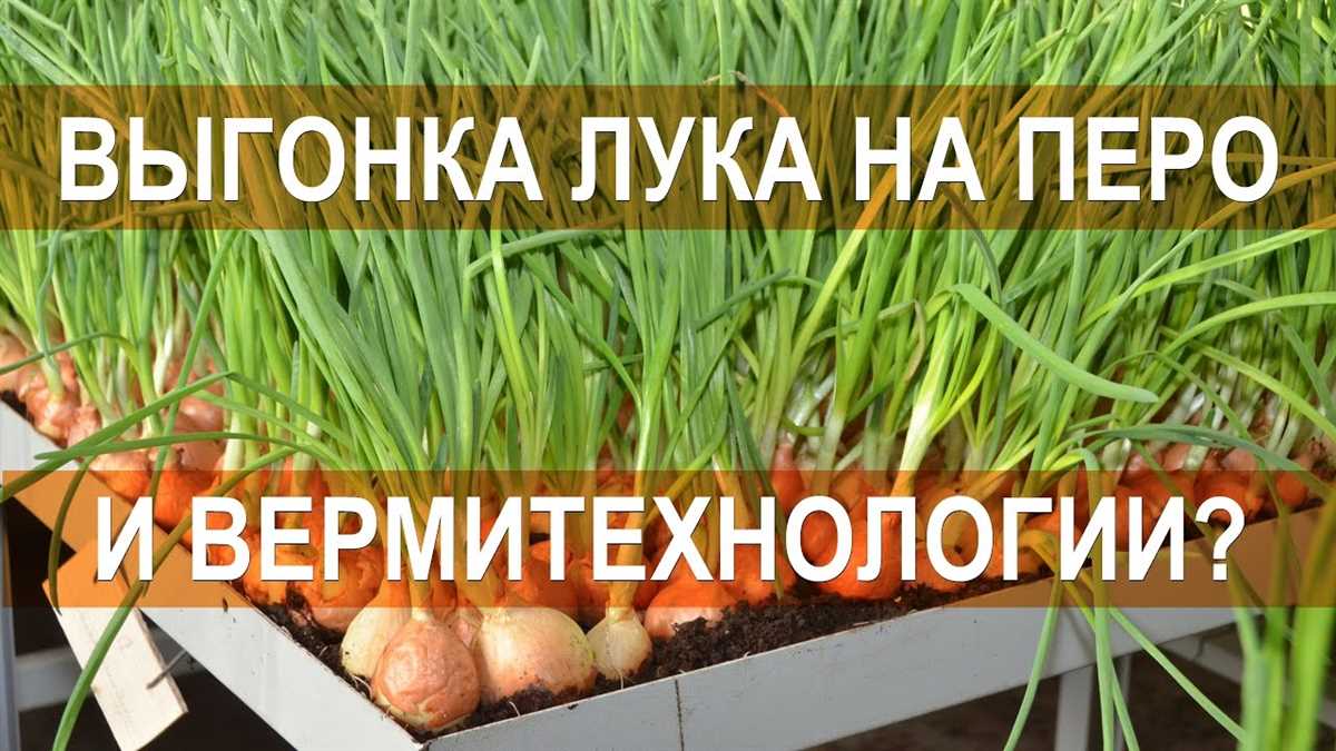 Семенной материал и его подготовка