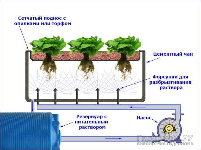 Принцип работы аэропоники