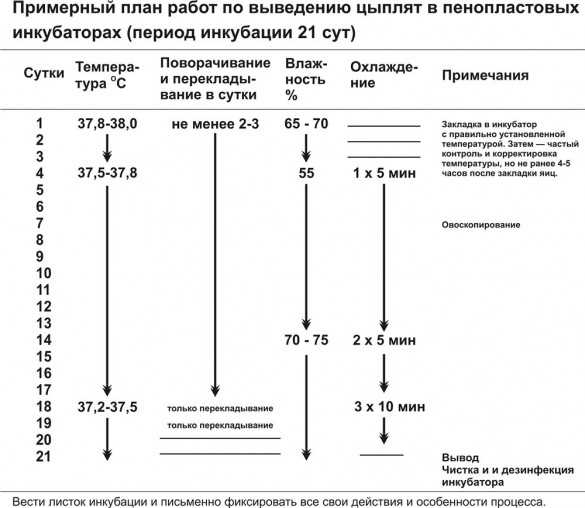 Процесс инкубации