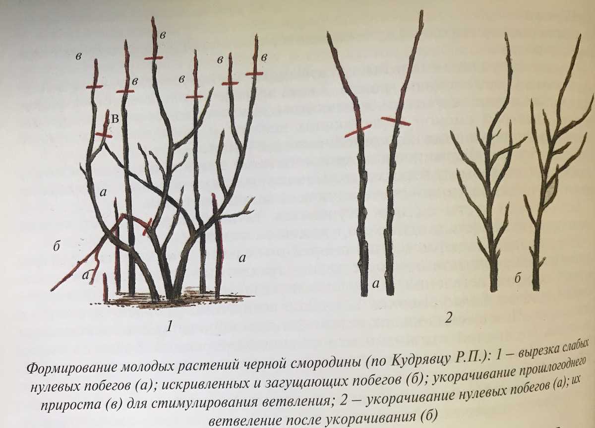 1. Создание прочной основы