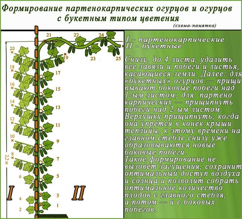 Переувлажнение и отсутствие вентиляции