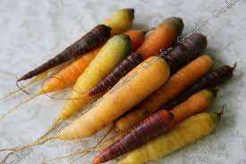 Важность и особенности уборки моркови