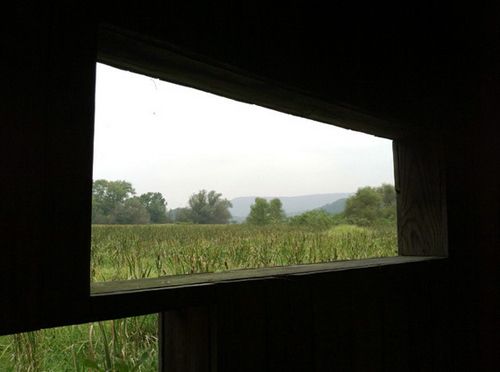 Панорамные окна, виды панорамных окон