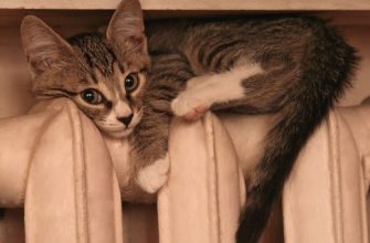 Сколько тепла нам надо отопление