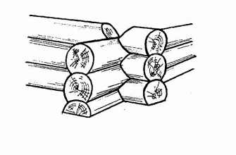 Рубка в чашу фото