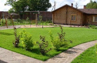 Зеленый газон своими руками