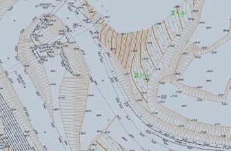 Топографо-геодезическая деятельность