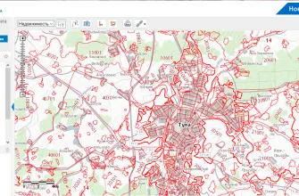 Публичная кадастровая карта земельных участков