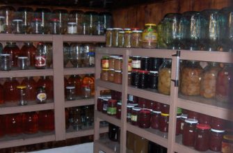 Овощная яма, строительство которой закончено.