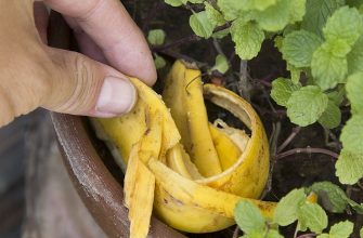 полезные советы