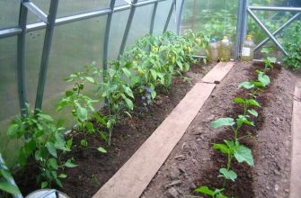 обогреваемая теплица