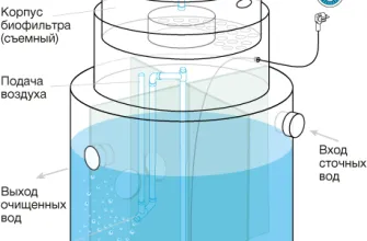 евролос био с эжектором