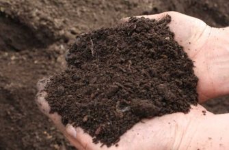 как повысить плодородие почвы