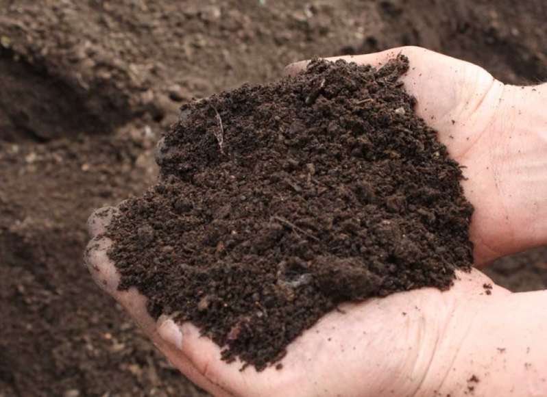 как повысить плодородие почвы