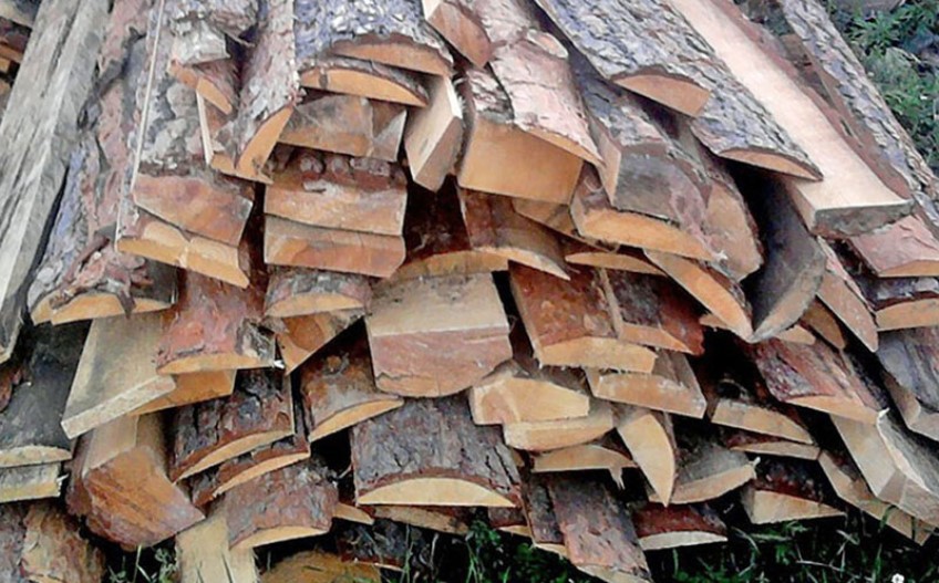 Отходы обработки древесины