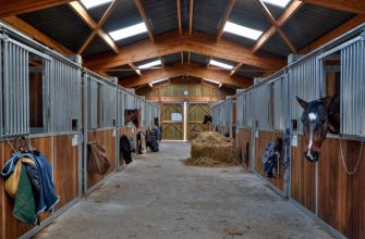 Правила составления проекта постройки частной конюшни