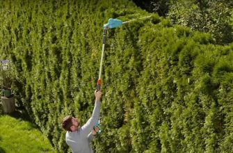 Телескопическая пила Gardena TCS