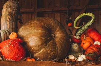 Методы хранения кабачков и тыкв зимой