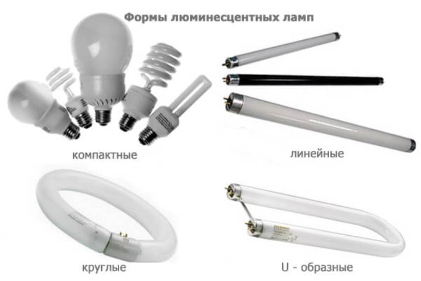 Разновидности люминисцентных ламп