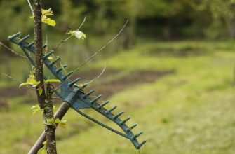 Убираем садовый инструмент на хранение на зиму