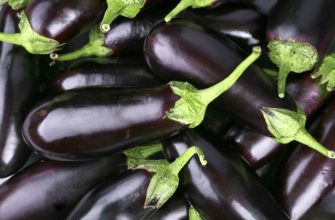 блоды баклажанов
