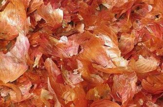 шелуха луковая