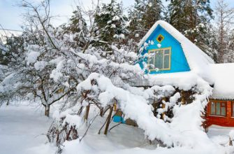 зимние работы в саду