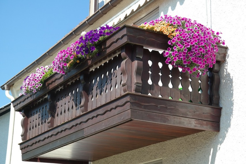 Балкон с петуниями