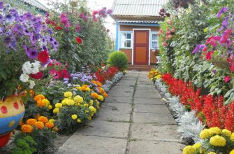 фото рабатка