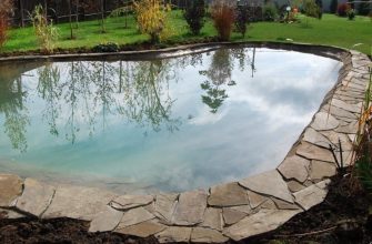 пруд для разведения рыбы