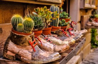 Горшок для комнатных растений