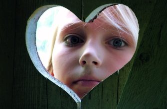 Что следует знать о деревянном туалете