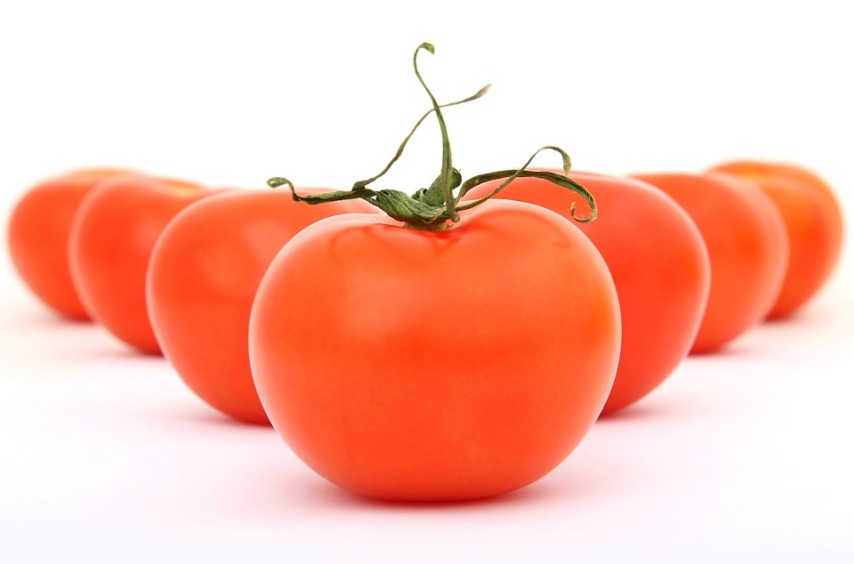 Результат - отличный урожай томатов!