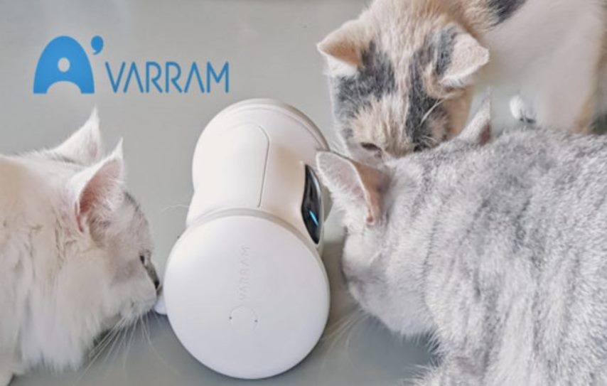 Робот Варрам с кошками