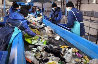 Мусорная реформа: переработка мусора