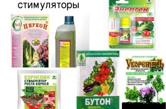 стимуляторы