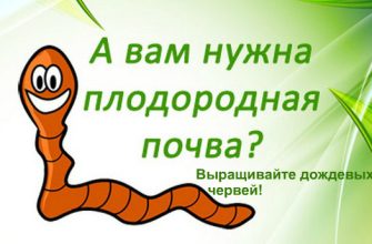 вермикультура