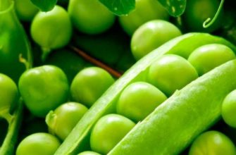 зеленый горошек