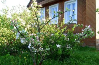 Дача весной