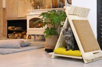 Кошачье бунгало